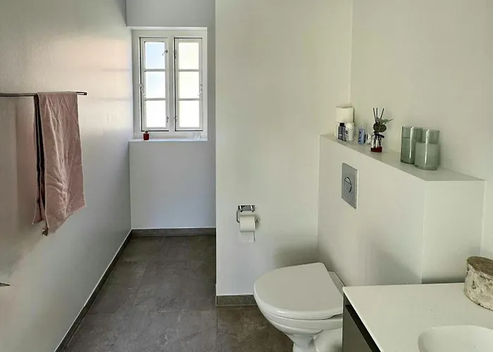 With Courtyard In Lille * سكاغن